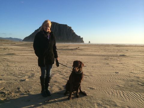 1996 Ford C-350 (Centurion Conversions) - A woman and her dog enjoy a day at the beach with a prominent rock formation in the distance.