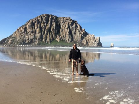 1996 Ford C-350 (Centurion Conversions) - A man and his dog enjoy a day at the beach with a prominent rock formation in the background.