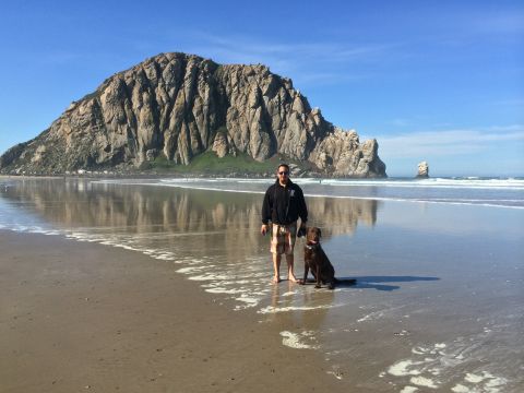 1996 Ford C-350 (Centurion Conversions) - A man and his dog enjoy a sunny day on the beach with the iconic Morro Rock visible in the distance.