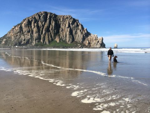 1996 Ford C-350 (Centurion Conversions) - A person and their dog stand in the shallow water on a beach with a prominent rock formation offshore.