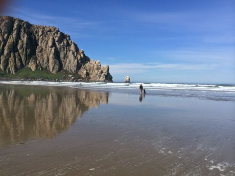 1996 Ford C-350 (Centurion Conversions) - A person walks their dog on a sandy beach with a large rock formation in the distance.