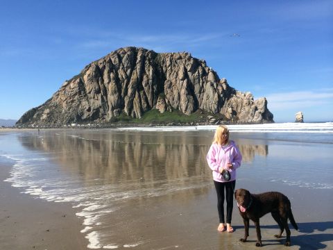 1996 Ford C-350 (Centurion Conversions) - A woman and her dog enjoy a day at the beach with the iconic Morro Rock visible in the distance under a clear blue sky.