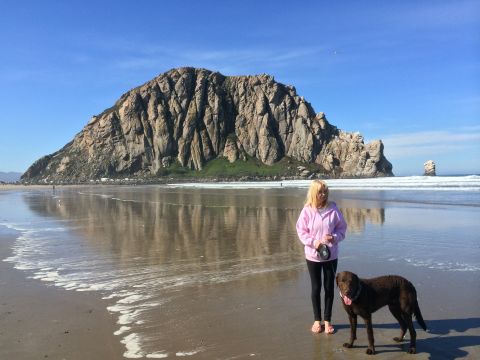 1996 Ford C-350 (Centurion Conversions) - A scenic view of Morro Rock on the California coast with a woman and her dog enjoying the beach.