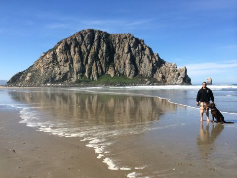1996 Ford C-350 (Centurion Conversions) - A man and his dog enjoy a day at the beach with a prominent rock formation and the ocean.