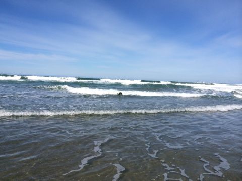 1996 Ford C-350 (Centurion Conversions) - The ocean is vast and blue with waves breaking on the shore.