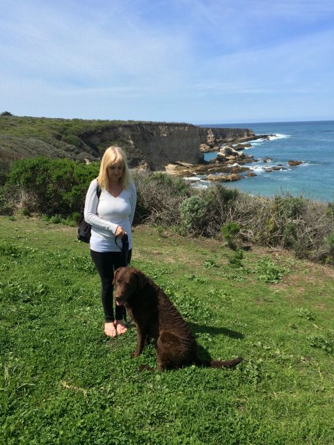 1996 Ford C-350 (Centurion Conversions) - A woman and her dog enjoy a scenic view of the coastline on a sunny day.