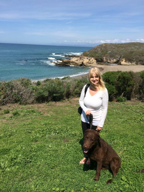 1996 Ford C-350 (Centurion Conversions) - A woman and her dog enjoy a sunny day by the ocean with rocky shores and cliffs.