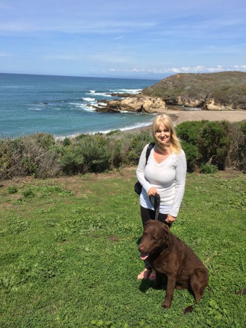 1996 Ford C-350 (Centurion Conversions) - A woman and her dog enjoy a scenic view of the ocean and coastline on a sunny day.