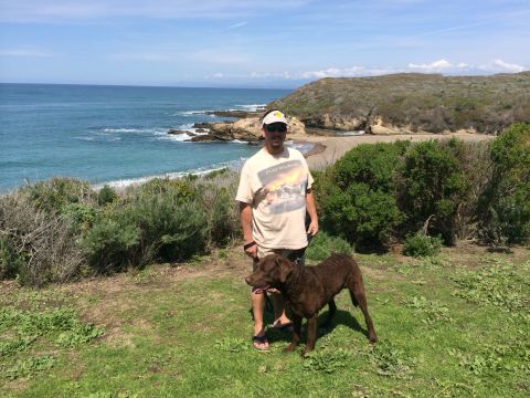 1996 Ford C-350 (Centurion Conversions) - A man and his dog enjoy a scenic view of the coastline on a sunny day.