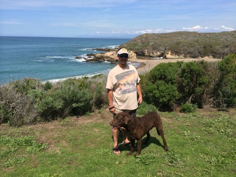 1996 Ford C-350 (Centurion Conversions) - A man and his dog enjoy a scenic view of the ocean and coastline on a sunny day.