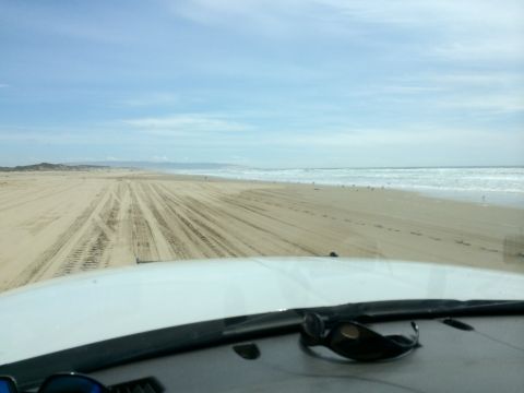 1996 Ford C-350 (Centurion Conversions) - Driving on the beach with tire tracks in the sand and waves crashing on the shore.