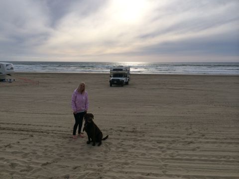 1996 Ford C-350 (Centurion Conversions) - A woman and her dog enjoy a day at the beach with a camper van in the background.