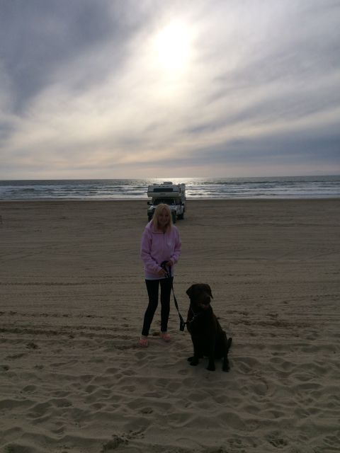 1996 Ford C-350 (Centurion Conversions) - A woman and her dog enjoy a day at the beach with RVs parked nearby.