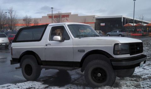 1994 Ford Bronco - White full-size Ford Bronco shot from the passenger side in a snowy Home Depot parking lot, fitted with a black hardtop, blacked-out grille…
