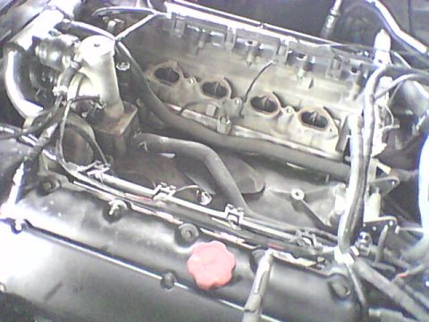 1998 Ford Crown Victoria - Close-up view of a vehicle's engine compartment, showing various components and wiring.