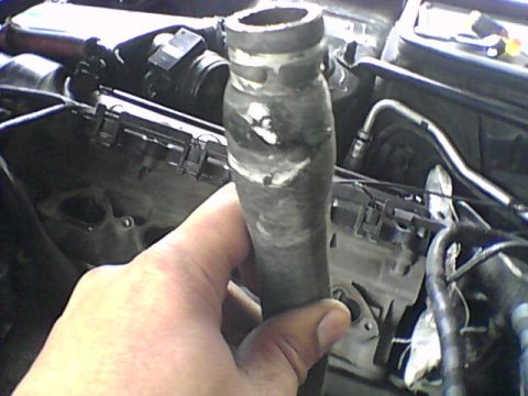 1998 Ford Crown Victoria - A hand holds a worn engine hose, showing damage and wear within the engine compartment.