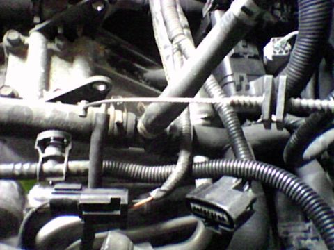 1998 Ford Crown Victoria - Engine bay close-up showing various hoses, wiring harnesses, and connectors.