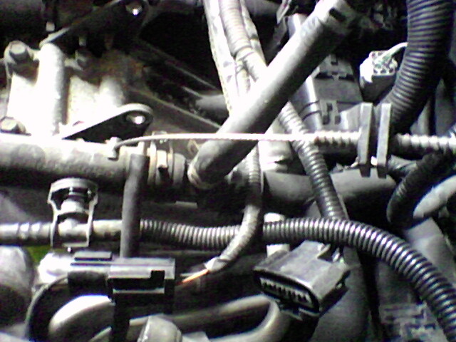 Close-up of engine bay hoses, wires, and connectors