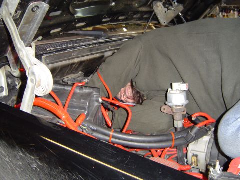 1989 Ford Bronco - This is how you remove a dipstick tube