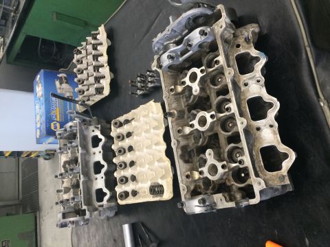 1996 Ford Probe - Disassembled engine cylinder heads are laid out on a workbench next to a NAPA Power parts box.