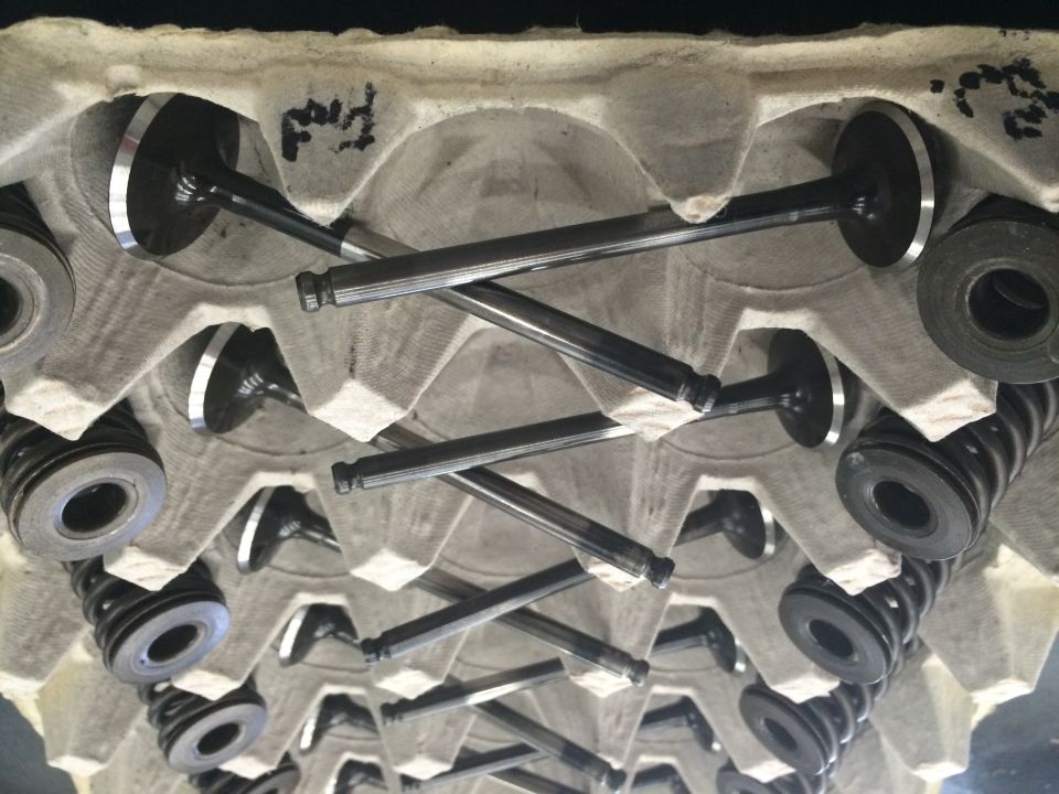 Engine valves and springs organized in a cardboard tray. Some valves have handwritten markings