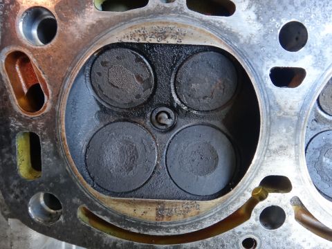 1993 Ford Taurus - This is a close-up view of an engine's cylinder head, revealing the condition of its valves.