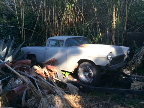 1968 Ford Mustang - This vintage pickup truck, likely a 1955 model, sits abandoned amidst overgrown vegetation and fallen palm fronds.