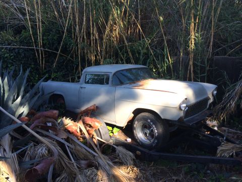 1968 Ford Mustang - A weathered pickup truck sits abandoned amidst overgrown plants, its grille and headlights partially visible.