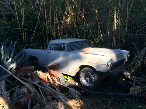 1968 Ford Mustang - A light-colored 1955 pickup truck, appearing weathered and rusty, is partially obscured by foliage.