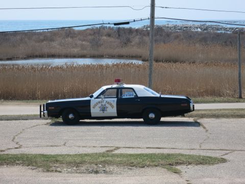 1991 Ford LTD Crown Victoria - black-and-white Highway Patrol sedan parked in profile beside a coastal marsh and the ocean.