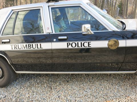 1991 Ford LTD Crown Victoria - Close-up of a black-and-white police door lettered TRUMBULL POLICE with a gold department seal and side mirror.