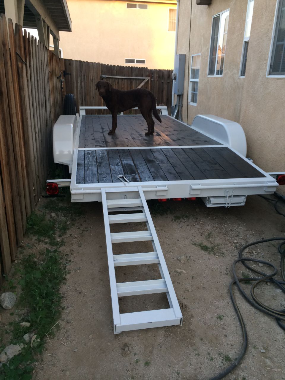 Trailer with wooden deck and a brown dog standing on it. Ramp is extended