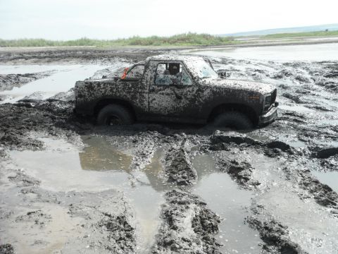 1980 Ford Bronco - This 1980 Ford Bronco is stuck in thick mud, with only the top of the vehicle visible.