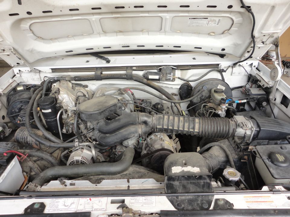 1995 Ford F-150 “Eddie”
