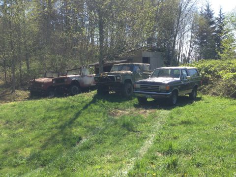 1990 Ford Bronco - Three SUVs, including a 1990 Ford Bronco, sit in a yard with trees and a shed.