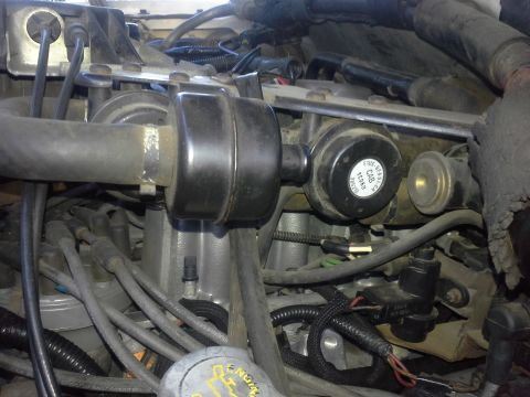 1991 Ford F-250 - Close-up view of the engine compartment of a 1991 Ford F-250, highlighting various engine parts and wiring harnesses.