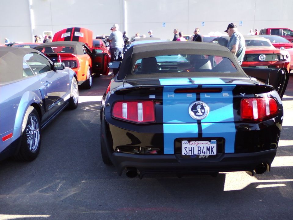 Rear view of a black and blue striped Ford Mustang Shelby GT500 convertible parked in a lot with other Mustangs