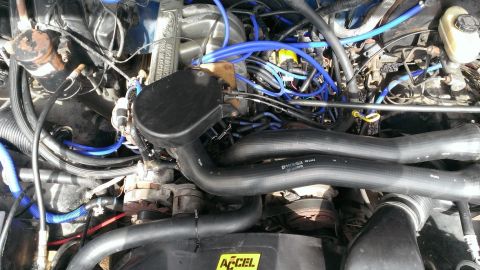 1988 Ford Bronco - Engine with recently replaced vac lines. Old and brittle plastic lines were replaced with quality silicone hoses
