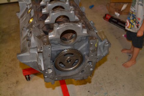 1981 Ford F-250 - Engine block assembly on a red stand, with a timing gear visible.