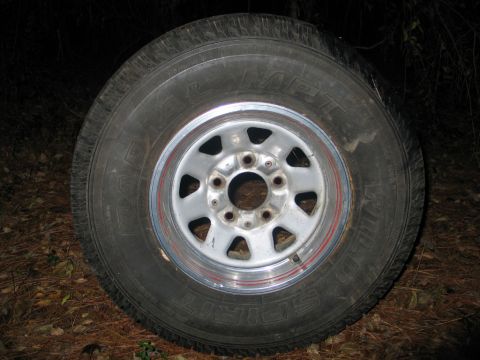 1995 Ford Bronco - A spare tire and rim rests on the ground, surrounded by pine needles and leaves.