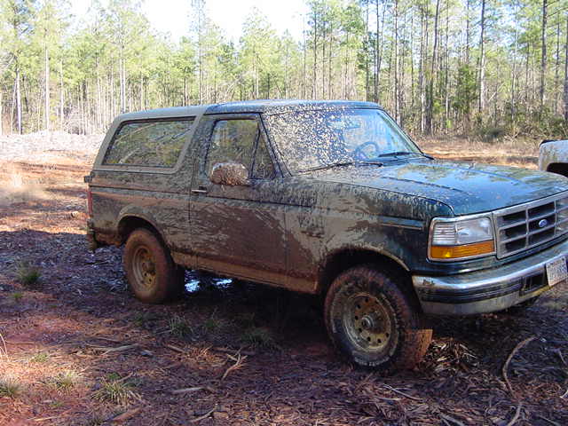 1995 Ford Bronco “HavBlu2”