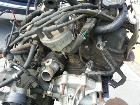 1994 Ford Bronco - Close-up view of a complex engine assembly with numerous hoses and electrical connections visible.