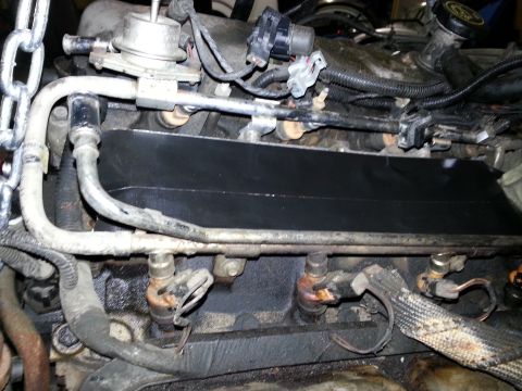 1994 Ford Bronco - Close-up view of engine fuel injectors and fuel rail assembly.