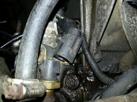1994 Ford Bronco - This image shows a close-up view of engine components, including sensors and hoses, with visible grease and grime.