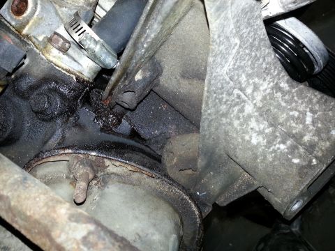 1994 Ford Bronco - Close-up view of an engine component showing an oil leak and a hose clamp.