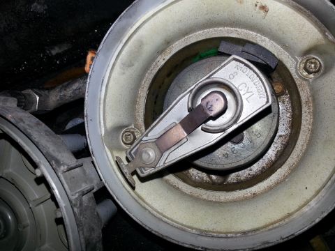 1994 Ford Bronco - Close-up view of a vehicle's distributor cap and rotor, showing '8 CYL' marking.