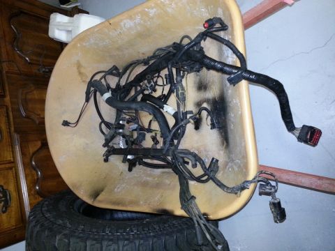 1994 Ford Bronco - A complex engine wiring harness is displayed in a wheelbarrow, suggesting it is a spare part.