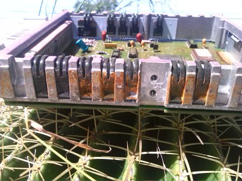 1992 Ford Bronco - Electronic control unit with heat sinks showing rust, placed on a cactus.