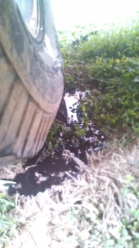 1979 Ford Bronco - A vehicle tire is stuck in mud and dark liquid, with grass and foliage in the background.
