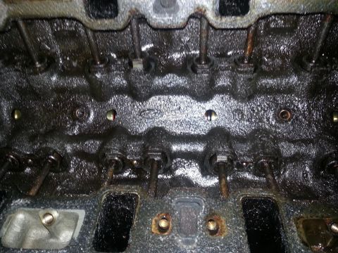1994 Ford Bronco - Engine cylinder head interior showing valve stems and oil buildup.